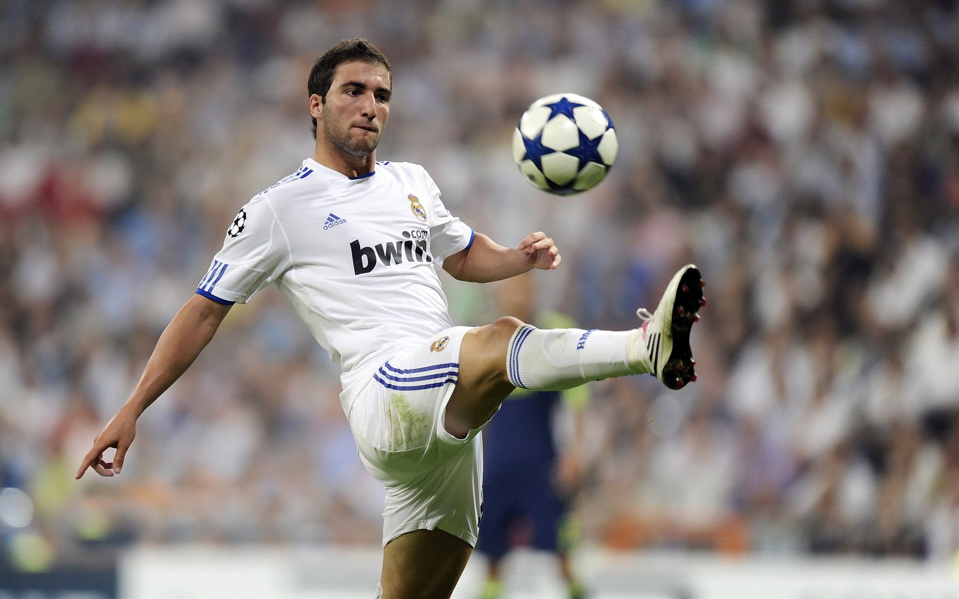 莫兰特一剑封喉，奇才草根阵如何让十一冠王广东俯首？